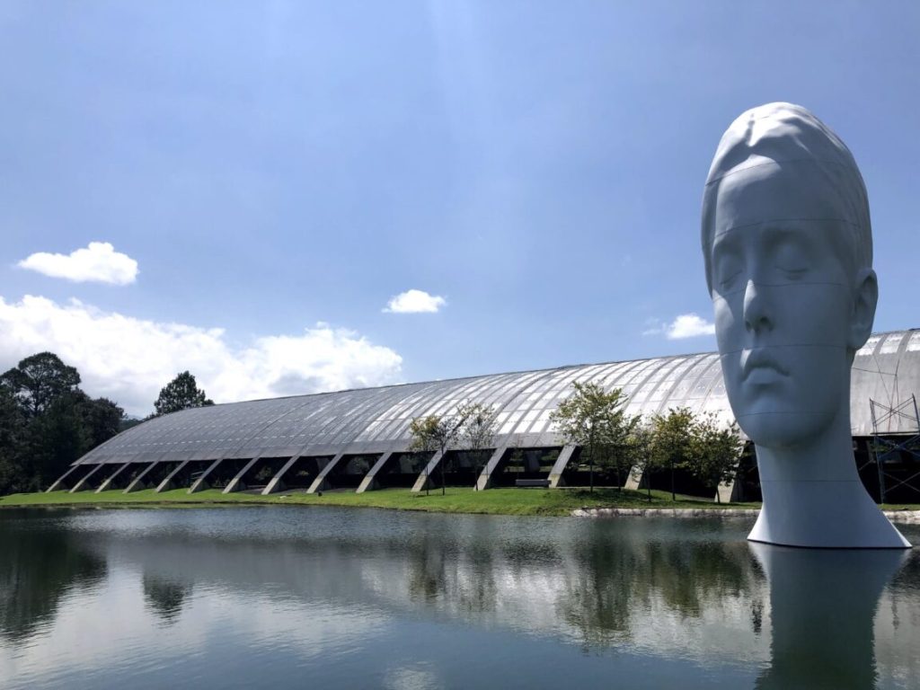 CONSULTORA MEDIOAMBIENTAL