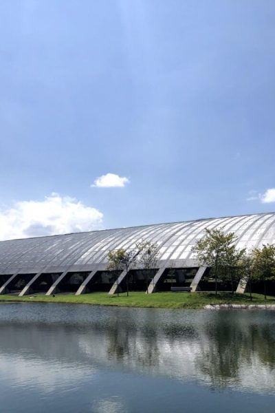 CONSULTORA MEDIOAMBIENTAL